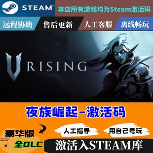 现货秒发 Rising 夜族崛起 吸血鬼崛起 国区KEY 激活码 Steam正版