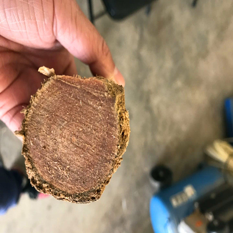 东北琥珀木原木料明子手把件手串