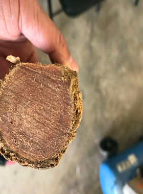 东北琥珀木原木料明子手把件手串