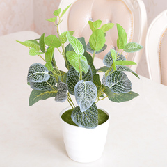 phong lan giả hạc Cây mô phỏng chậu nhỏ phong cảnh phòng khách trang trí trong nhà và ngoài trời thì là xanh nhựa mô phỏng hoa để bàn đặt cây xanh hoa giả hoa giấy giả dây leo giả trang trí
