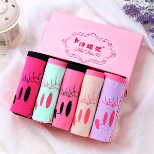 Slip jeunesse 6530 6531 6532 en coton - Ref 642937 Image 12