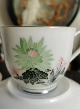 洪江瓷器真15头绿菊花陶瓷器套装