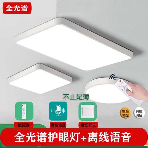离线语音led吸顶灯卧室客厅灯