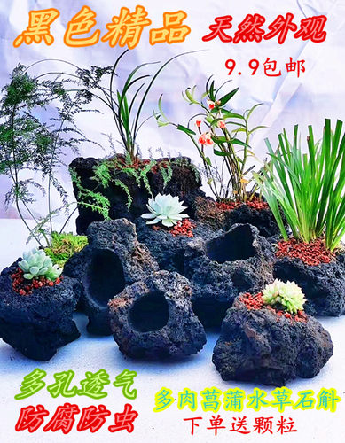 天然黑色火山岩花盆精品