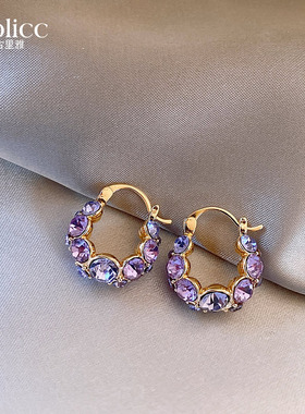 紫色锆石圈圈耳扣耳环女轻奢高级感气质大气耳钉2025新款爆款耳饰