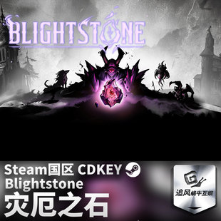 Steam 正版 PC 游戏 灾厄之石 国区激活码 CDKEY
