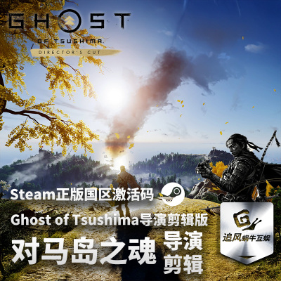 Steam 正版 PC 游戏 Ghost of Tsushima导演剪辑版  国区激活码 C