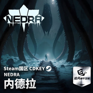 Steam 正版 PC 游戏 NEDRA 国区激活码 CDKEY