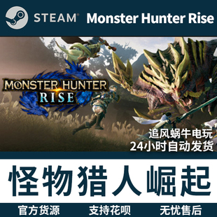 monster 崛起 怪物猎人 PC正版 Hunter steam游戏 Rise