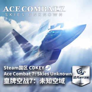 Steam 正版 PC 游戏 皇牌空战7：未知空域 国区激活码 CDKEY