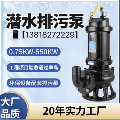 厂家( 潜水排污泵程污水泵工)质杂泵 20022QRM0-12-15
