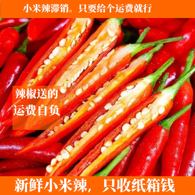 西双版纳小米椒特辣无籽红辣椒