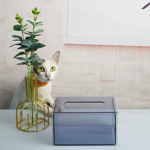 Модные акриловые салфетки, европейский стиль, в американском стиле, легкий роскошный стиль