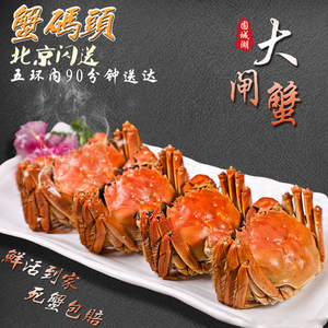 大闸蟹北京闪送鲜活固城湖螃蟹公母任选3.0-2.0两10只装顺丰包邮