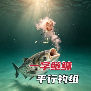 钓鱼维一字鲢鳙平行钓组子线双钩鱼口真实黑漂多8号子线拉力强劲