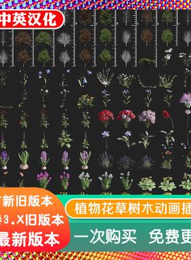 blender插件中文 Botaniq Full 7.20 动画植物资产库花草树木藤蔓