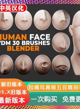 blender笔刷 Human Face Vdm Brushes 脸嘴耳鼻眼睛五官雕刻笔刷