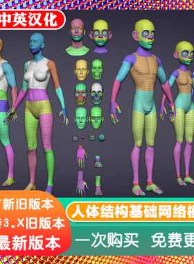 Blender资产 Base Meshes 人体基础网格模型雕刻绑定面部手脚牙眼