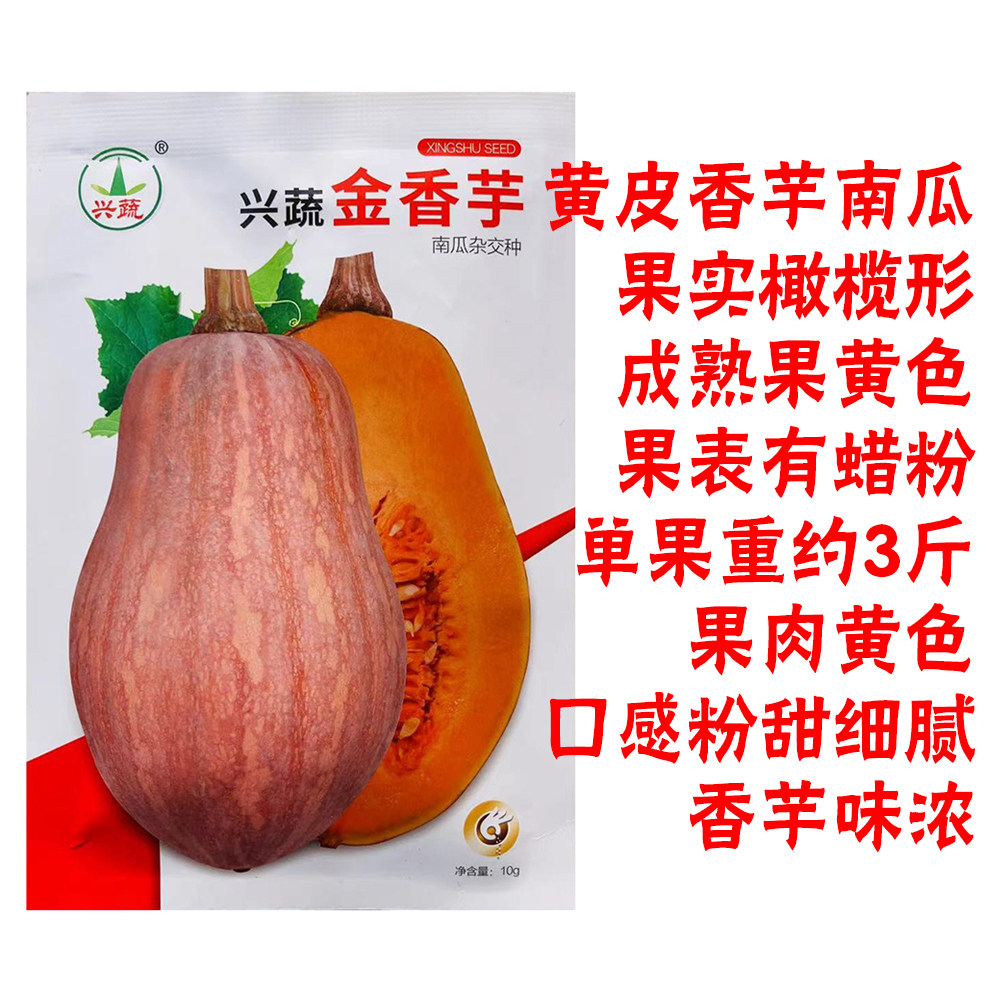 兴蔬金香芋南瓜种子黄皮香芋南瓜种籽高产抗病南瓜种子蔬菜种籽孑