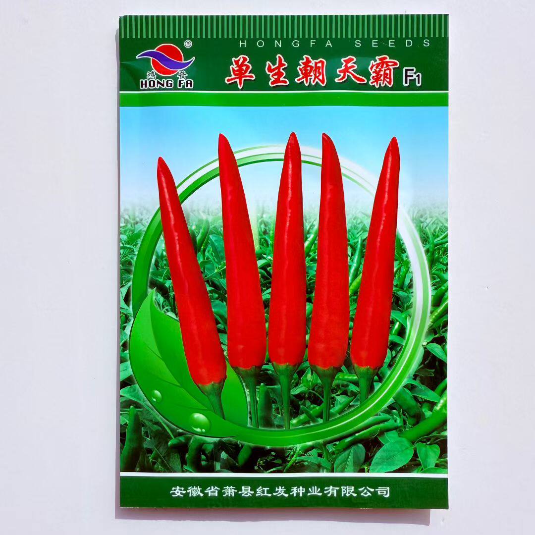 单生朝天霸单生辣椒种子中熟耐热耐湿单生型青红两用辣椒种子米椒