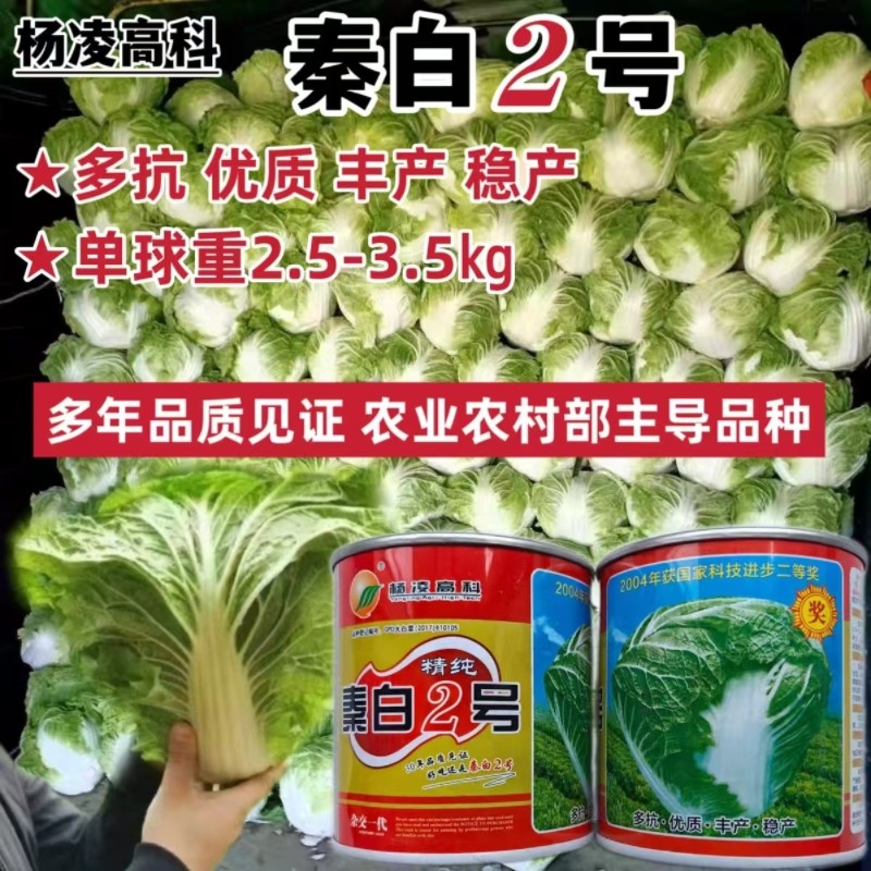 胜根赢豪白菜种子中晚熟抗根肿大白菜种子株型直立叠抱秋播蔬菜籽,鲜花速递/花卉仿真/绿植园艺,家庭园艺种子,淘宝优惠券,粉丝福利购,淘宝优惠卷