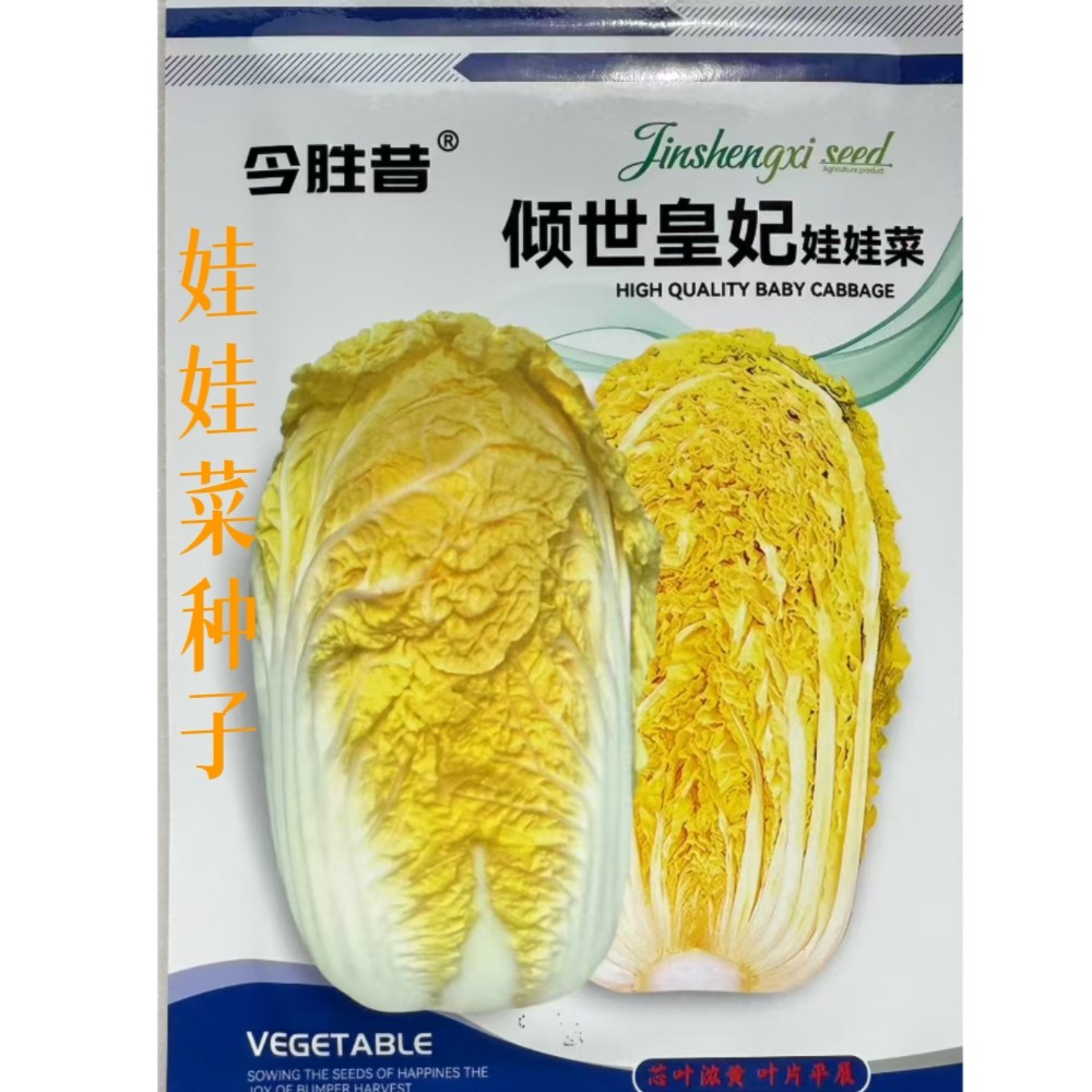 娃娃菜种子倾世皇妃娃娃菜种籽农家菜园春秋季黄心娃娃菜白菜种孑