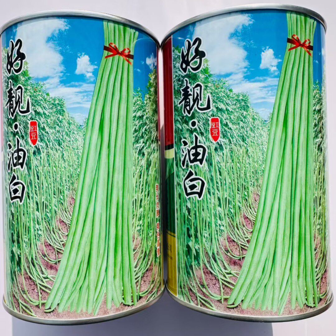 好靓油白长豆角种子粗条肉厚早熟高产长豇豆种籽春秋四季蔬菜种子