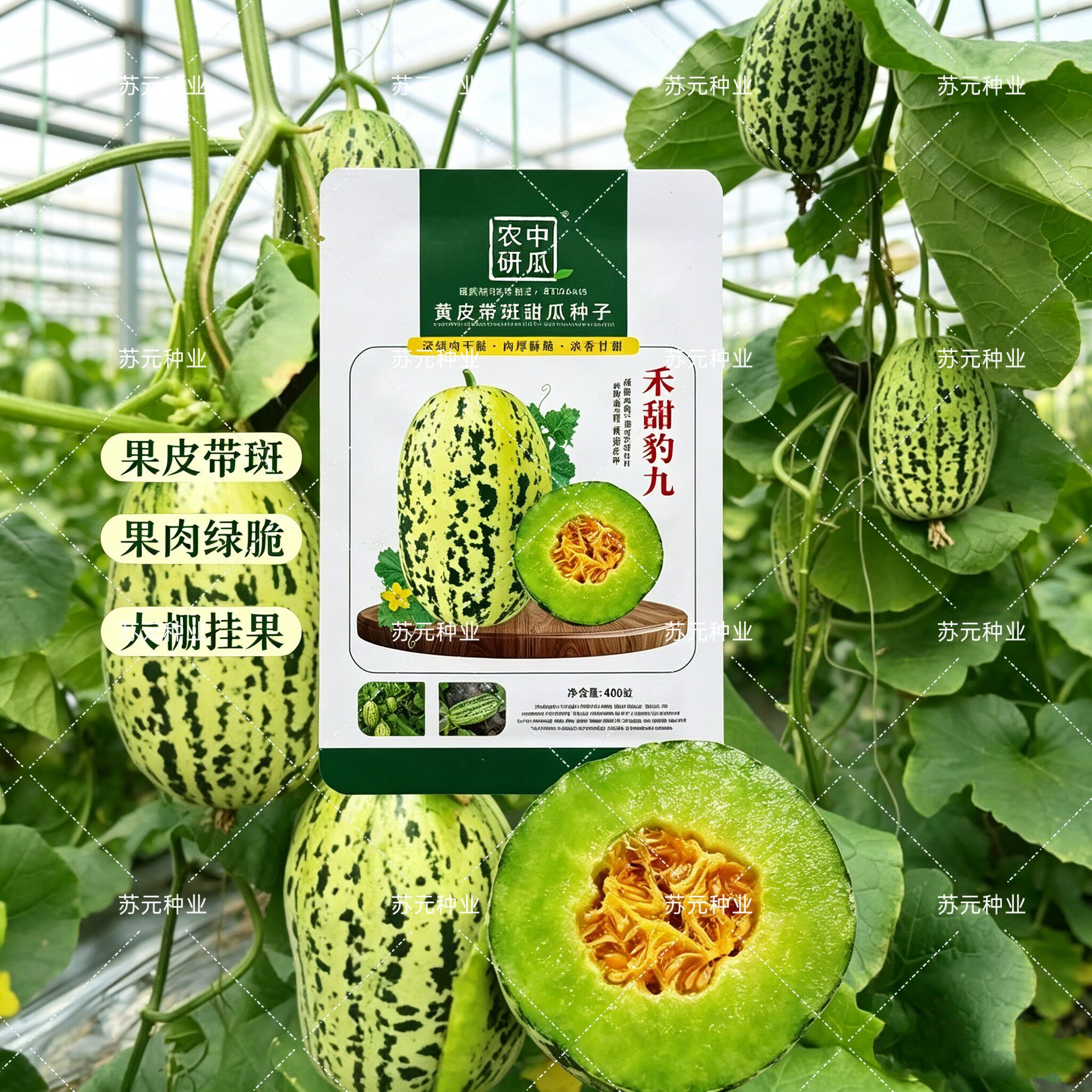 禾甜豹九薄皮甜瓜种子正宗早熟豹纹甜瓜清香脆甜抗病高产深绿红瓤