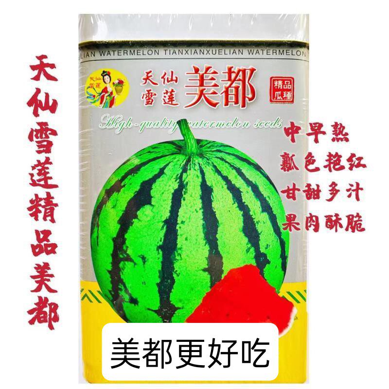 天仙雪莲美都西瓜种子中早熟圆果大红瓤西瓜种籽高糖不空心耐贮运