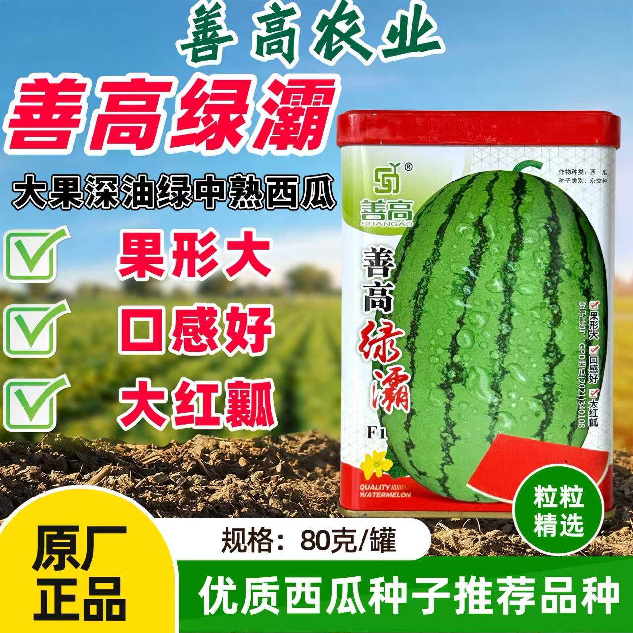 善高绿灞西瓜种子大果型大红瓤西瓜种籽中熟超甜抗病高产西瓜种籽