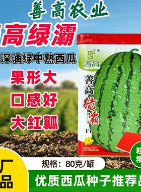 善高绿灞西瓜种子大果型大红瓤西瓜种籽中熟超甜抗病高产西瓜种籽
