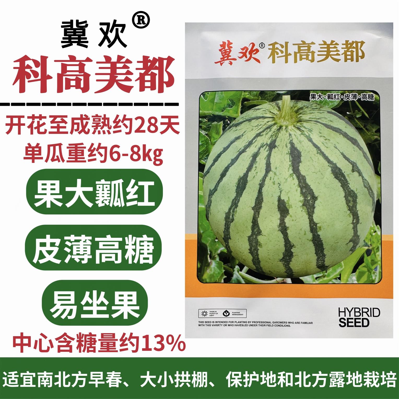 正宗科高美都西瓜种子大果圆球形皮薄瓤红西瓜种籽糖度高早熟