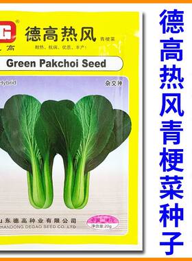 德高热风青梗菜种籽四季小油菜籽种特高产耐热上海青种子蔬菜种孑