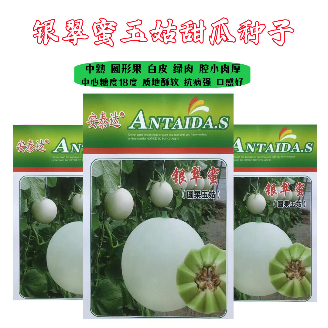 银翠蜜中熟圆形白色甜瓜种子单瓜重2到3kg绿肉口感好抗病甜瓜种籽
