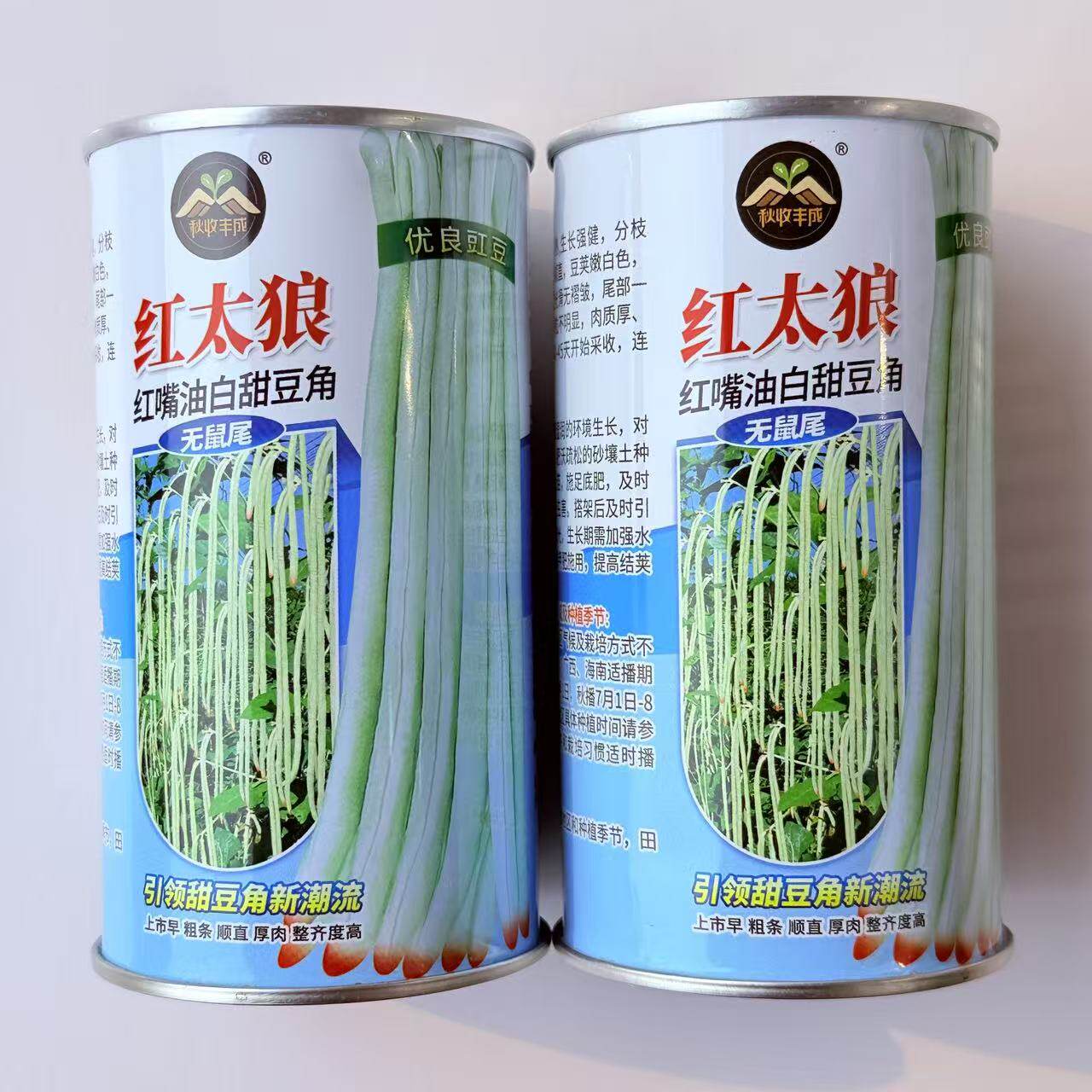 红太狼红嘴油白甜豆角种子豇豆种籽八月珠仔豆白豆角种孑大田用种
