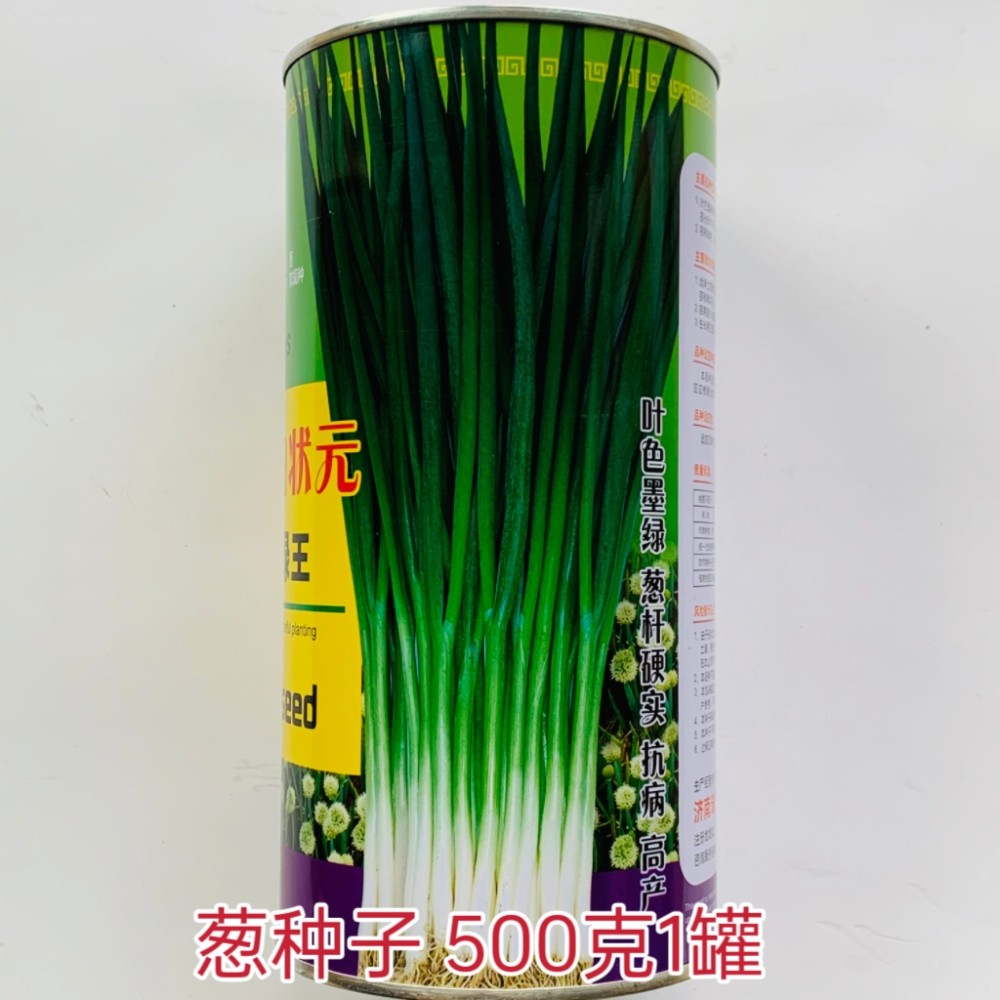 白状元细叶墨绿王葱种子农家四季阳台蔬菜种孑抗病抗倒葱籽大小颗