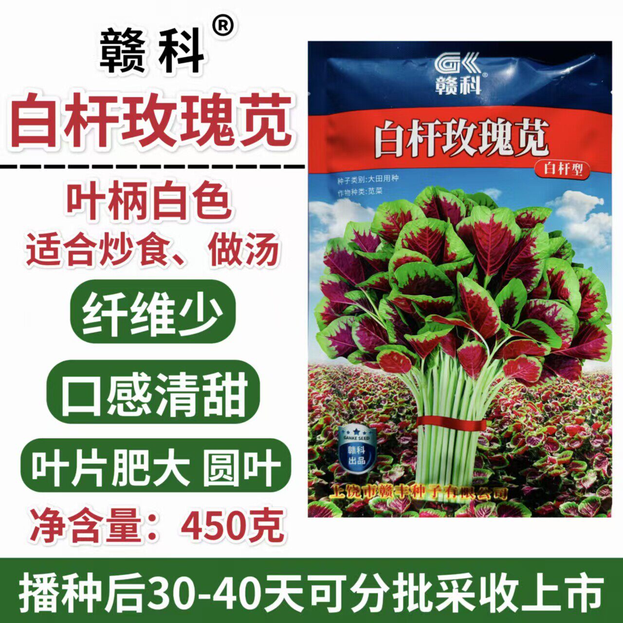 白杆玫瑰苋苋菜种子早中熟叶片肥大圆叶白杆型苋菜纤维少口感清甜