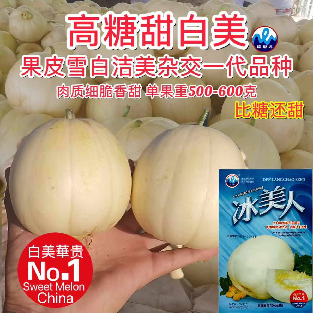 冰美人甜瓜种子白皮白瓤冰的口感香糖度高果皮薄四季高产水果种籽