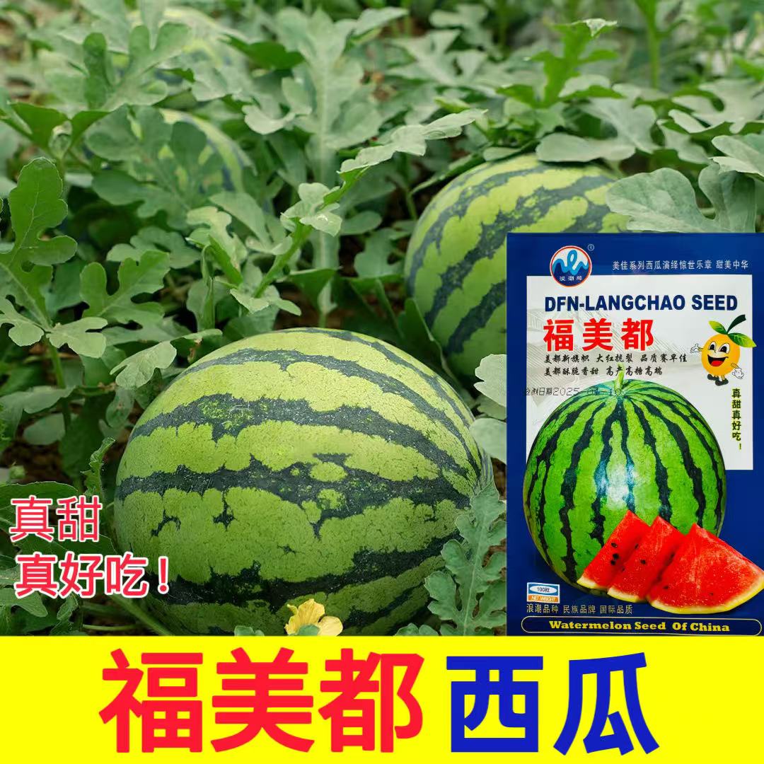 福美都西瓜种籽南方四季高产特大果懒汉麒麟瓜子超甜薄皮西瓜种子