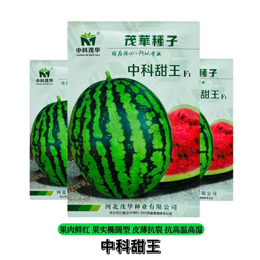 茂华中科甜王西瓜种子薄皮抗裂耐热耐湿农家春夏播种蔬菜种籽种孑