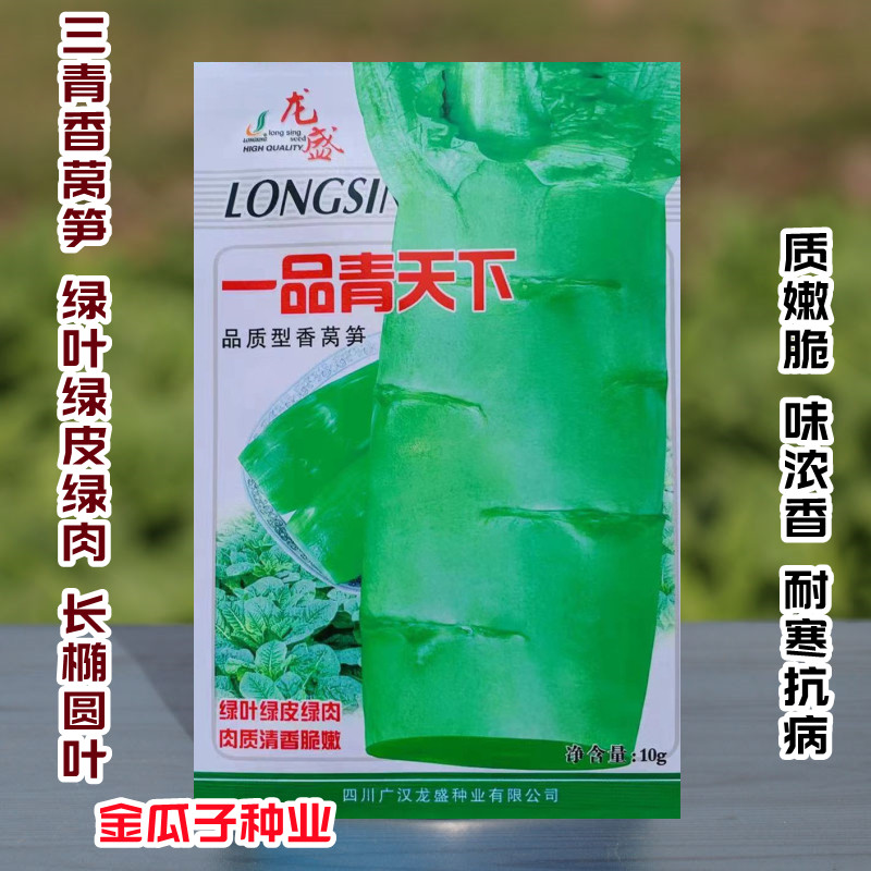 龙盛一品青天下香莴笋种子绿皮莴苣种籽圆叶耐寒菜种籽秋冬季笋菜