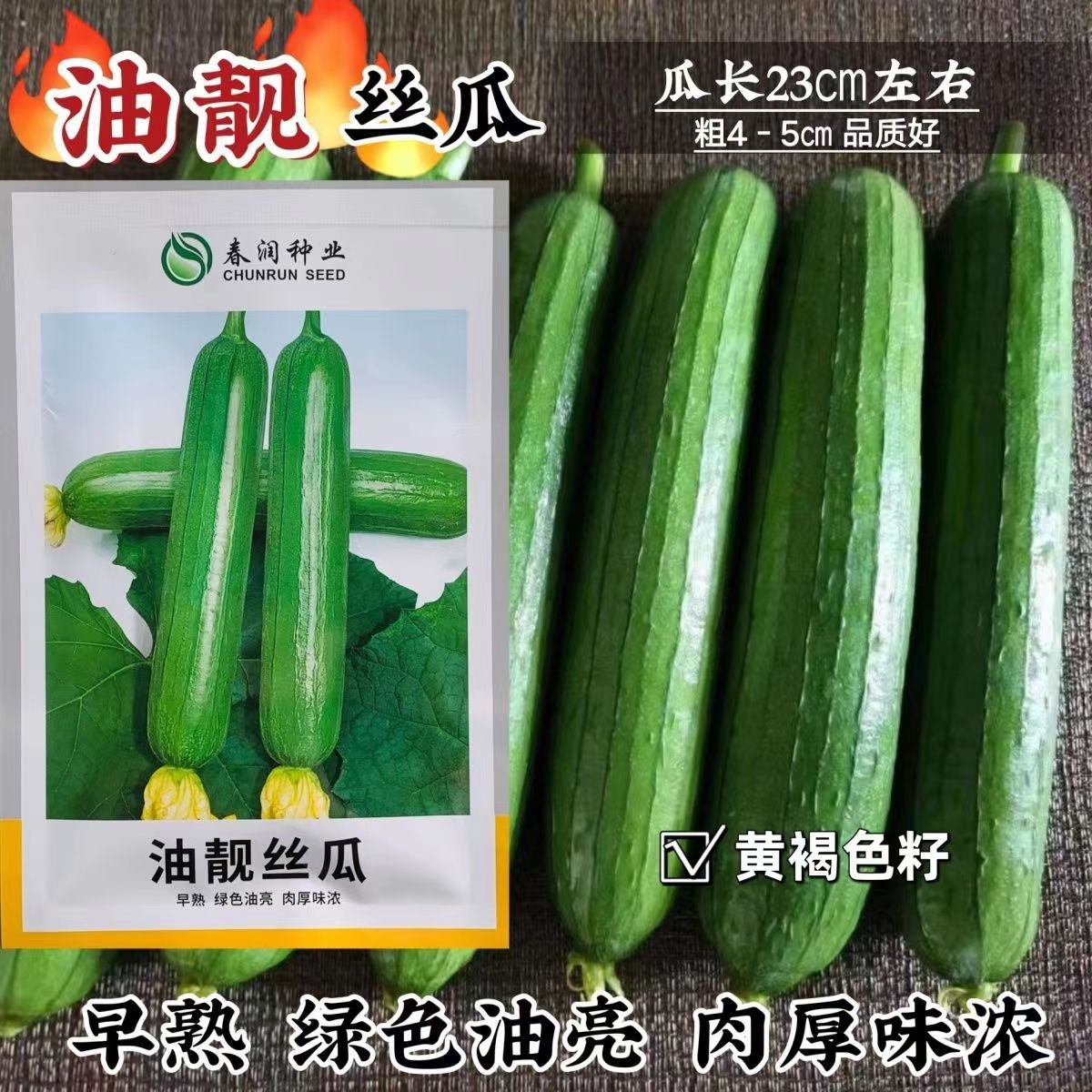 油靓丝瓜种子油皮丝瓜短棒油亮丝瓜种籽肉厚味浓一代杂交水瓜种子