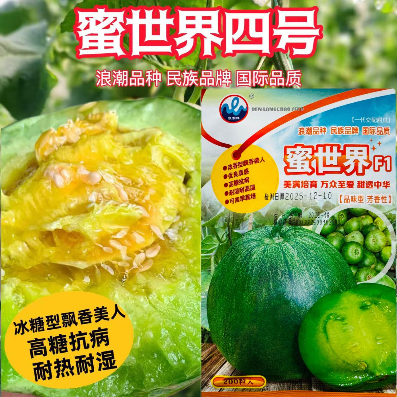 蜜世界四号甜瓜种子超甜绿皮绿肉芳香型香瓜种籽水果种籽