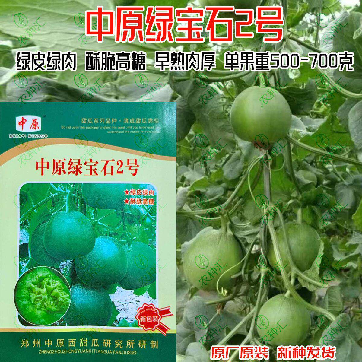 中原绿宝石2号甜瓜种子早熟高糖薄皮香瓜四季大棚露地甜瓜种籽子
