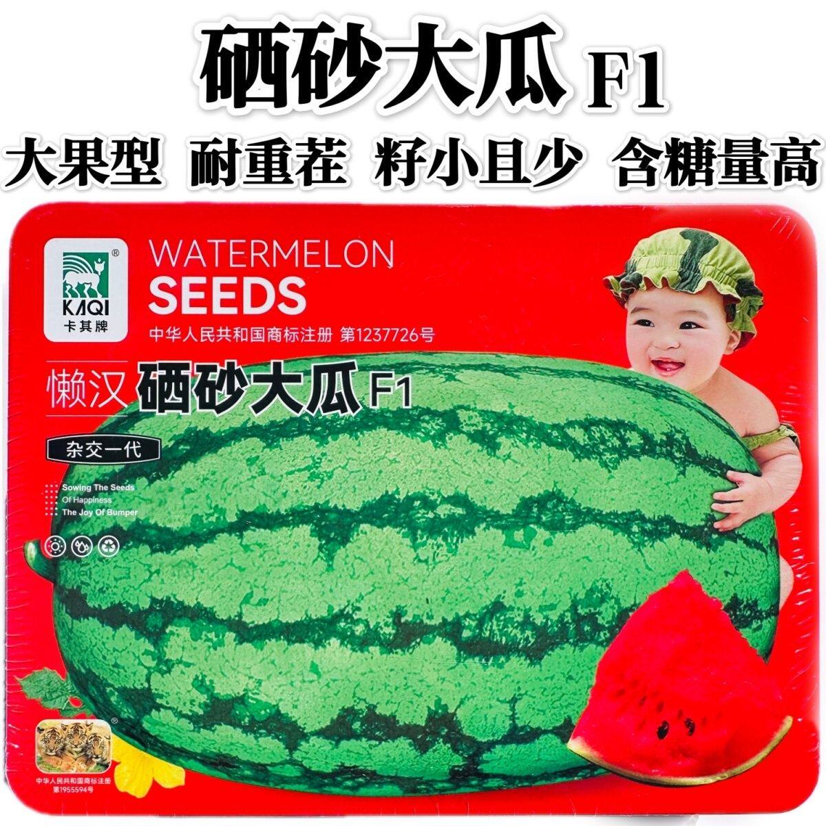 懒汉硒砂大瓜种子大果耐重茬硒砂瓜种子高糖质脆甘甜籽小西瓜种子
