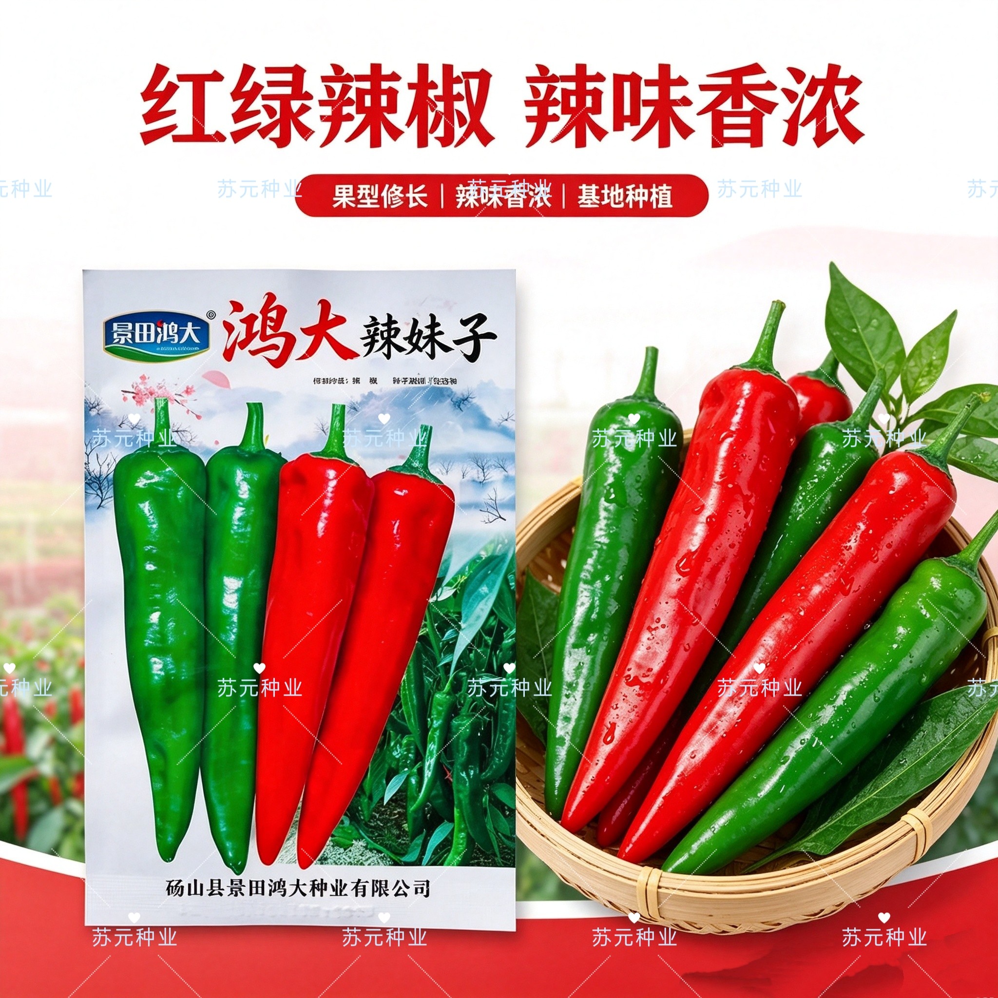 鸿大辣妹子杂交辣椒种子早熟皮色深绿青红椒两用节节有果辣味香浓