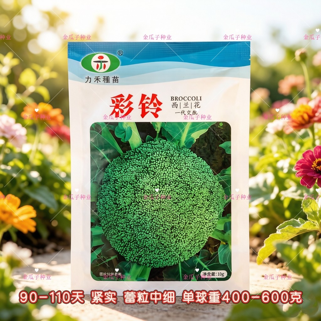 西兰花种子一代杂交抗病高产耐寒耐热西兰花种籽农家大田春秋播种