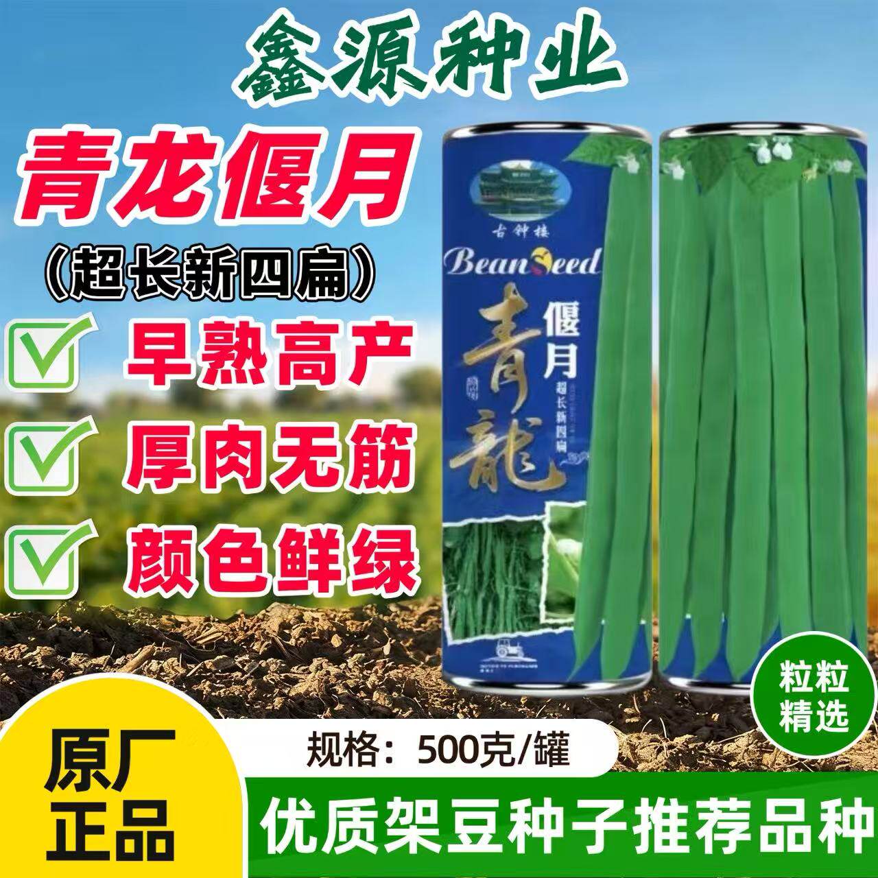 青龙偃月四扁豆角种子早熟型无纤维扁条高产基地四季种植豆角种子