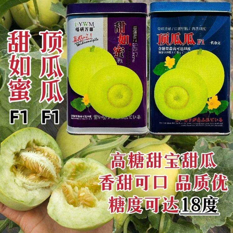 甜如蜜顶瓜瓜甜宝种籽高糖高品质杂交甜瓜种子超甜日本甜宝瓜种孑