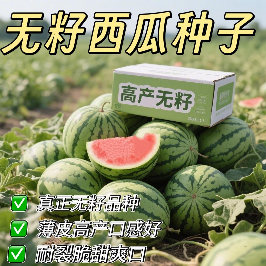 超甜无籽美都麒麟8424西瓜种籽抗裂高产三倍体薄皮无籽西瓜种子
